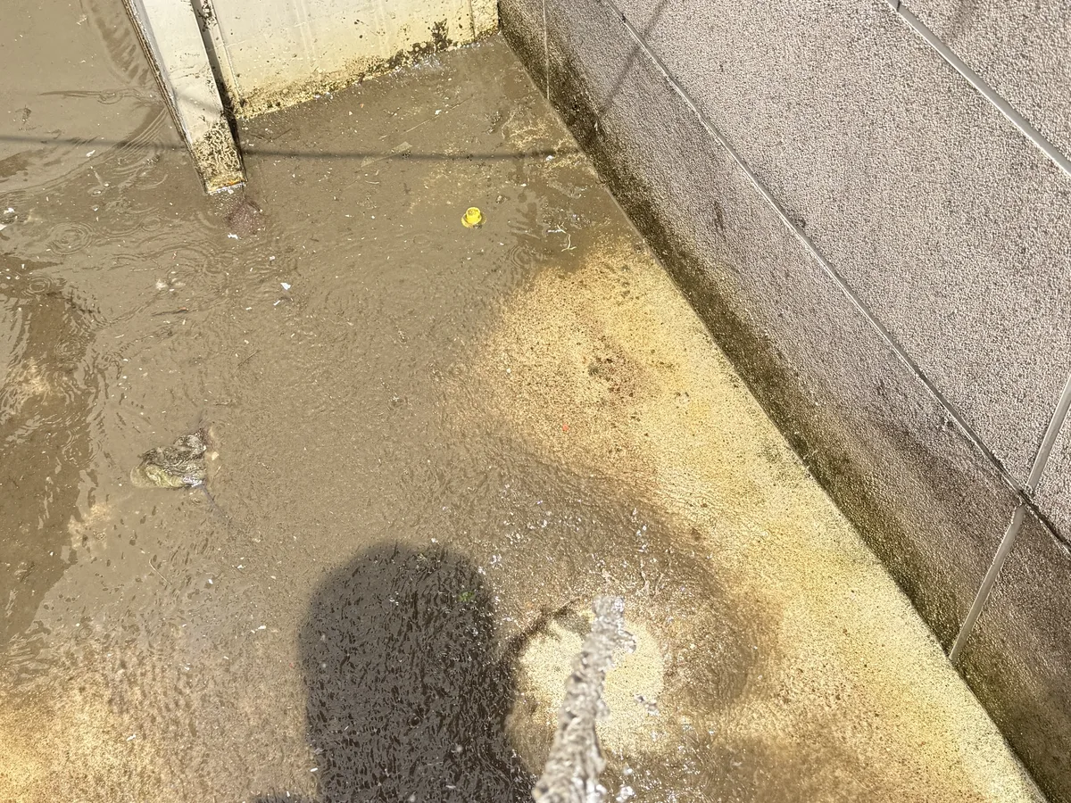 완도군 고금면 침수 현장 복도·대기 동선 야간 위생청소 사례 - 행진크린